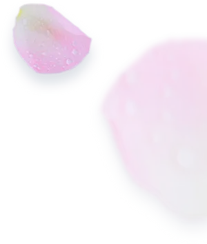 Relaxing Spa Bath Bombs PNG image