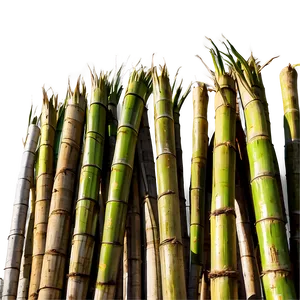 Renewable Energy From Sugarcane PNG Pwb PNG