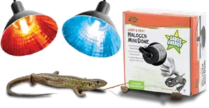 Reptile Heating Lampsand Gecko PNG image