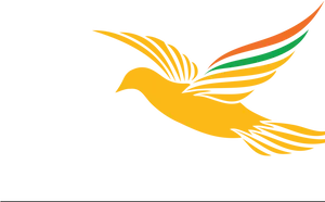 Republic Day Dovewith Tricolor Wings PNG image