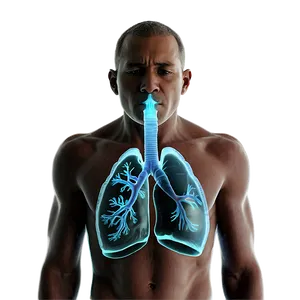 Respiratory Diseases Explained Png 06132024 PNG image