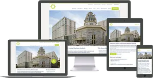 Responsive Web Design Showcase