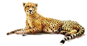 Resting Cheetah Transparent Background PNG