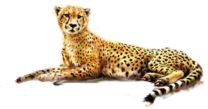 Resting Cheetah Transparent Background PNG image