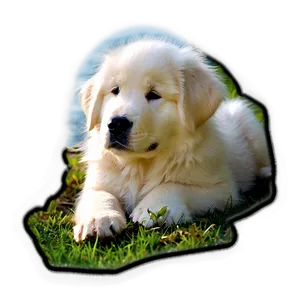 Resting Great Pyrenees Puppy PNG Lcw60