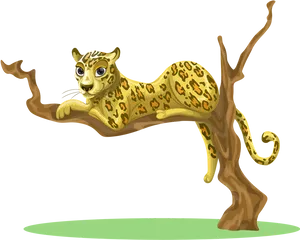 Resting Leopardon Tree Branch PNG image