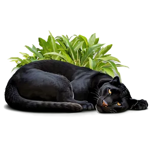 Resting Panther PNG Urr PNG