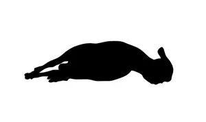 Resting Sheep Silhouette PNG image
