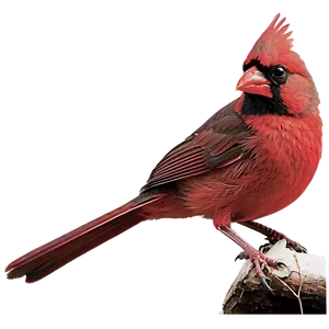 Retro Cardinal Png Ipw64 PNG image