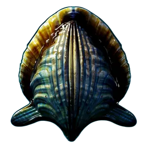 Retro Clam Poster Design PNG Tka