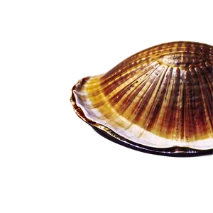 Retro Clam Poster Design PNG Vhd