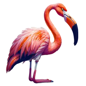 Retro Flamingo Poster PNG Ami5 PNG