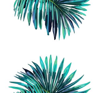 Retro Palm Leaves PNG Krg90