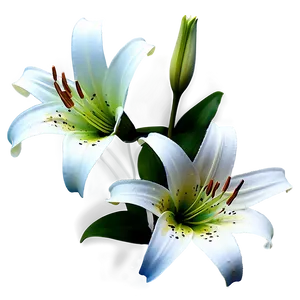Retro Style Lilies PNG 06282024 PNG