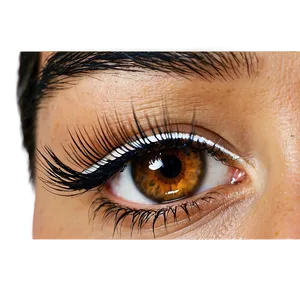 Reusable Eyelash Extensions PNG 76 PNG