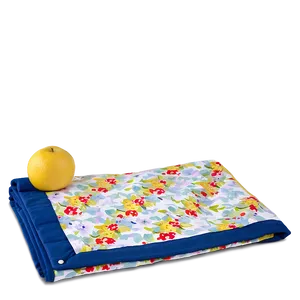 Reversible Picnic Blanket PNG 32