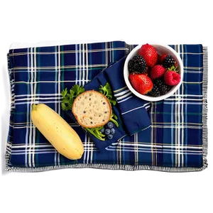 Reversible Picnic Blanket PNG Dkt81