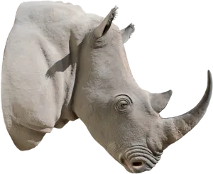 Rhino Portrait Isolated.png PNG image