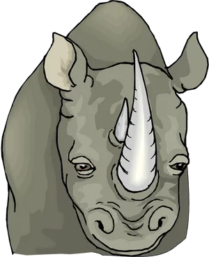 Rhinoceros Portrait Illustration PNG image