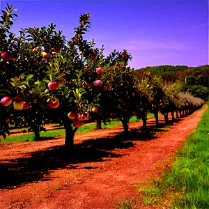 Rhode Island Apple Orchard PNG Wdf
