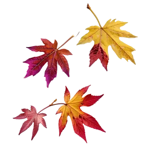 Rhode Island Autumn Leaves Png 06202024 PNG image