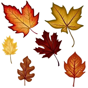 Rhode Island Autumn Leaves PNG Des