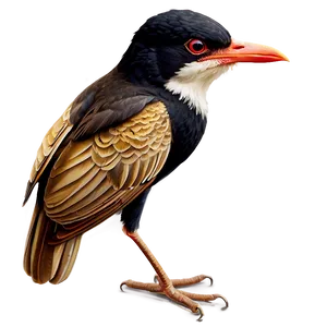 Rhode Island State Bird PNG 43