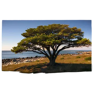 Rhode Island Sunset View PNG 98