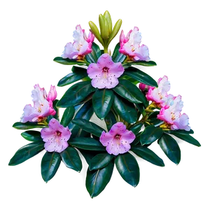 Rhododendron Flower Bush PNG 37 PNG
