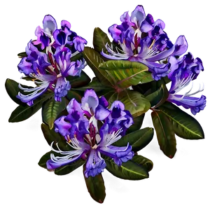 Rhododendron Glade PNG 06282024