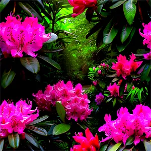 Rhododendron Glade PNG Jbj95