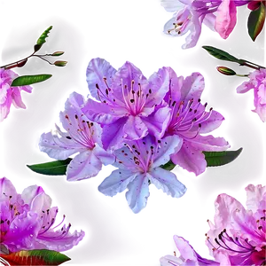 Rhododendron Pattern PNG 73