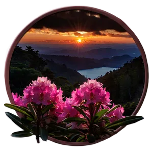Rhododendron Sunset PNG 06282024