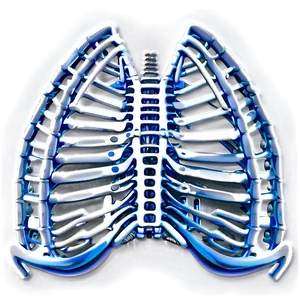 Rib Cage PNG Fva55 PNG