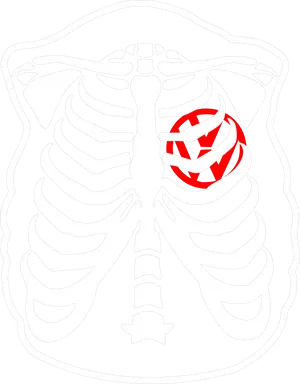 Ribcage Womb Illustration PNG