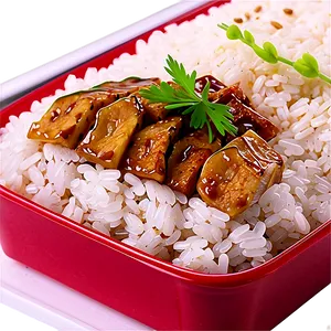Rice Bento PNG 05242024