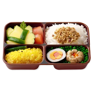 Rice Bento PNG 12