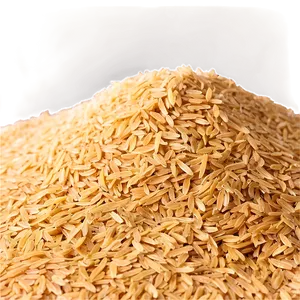 Rice Bran PNG 05242024