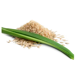 Rice Bran PNG 31 PNG