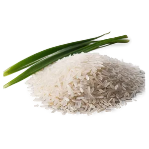 Rice Starch PNG Wnj38 PNG