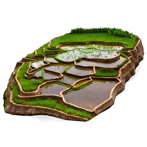 Rice Terraces PNG Fdk