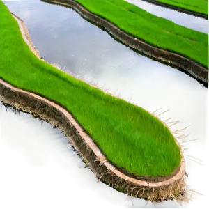 Rice Terraces PNG Sma