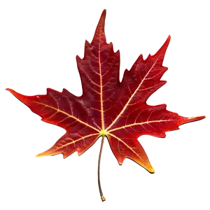 Rich Red Maple Leaf PNG 05062024