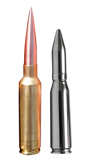 Rifle Ammunition Comparison PNG image