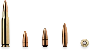 Rifle Cartridge Components Disassembled PNG image