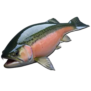 Riggins Idaho Salmon Fishing PNG Vvo