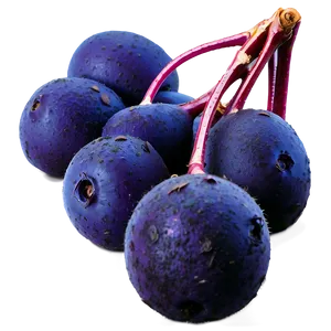 Ripe Acai Clusters Png 92 PNG image