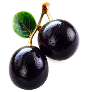 Ripe Black Olives Png 11 PNG image