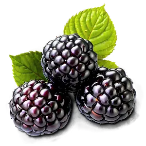 Ripe Blackberry Fruit PNG Njn56
