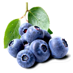 Ripe Blueberries Png 27 PNG image